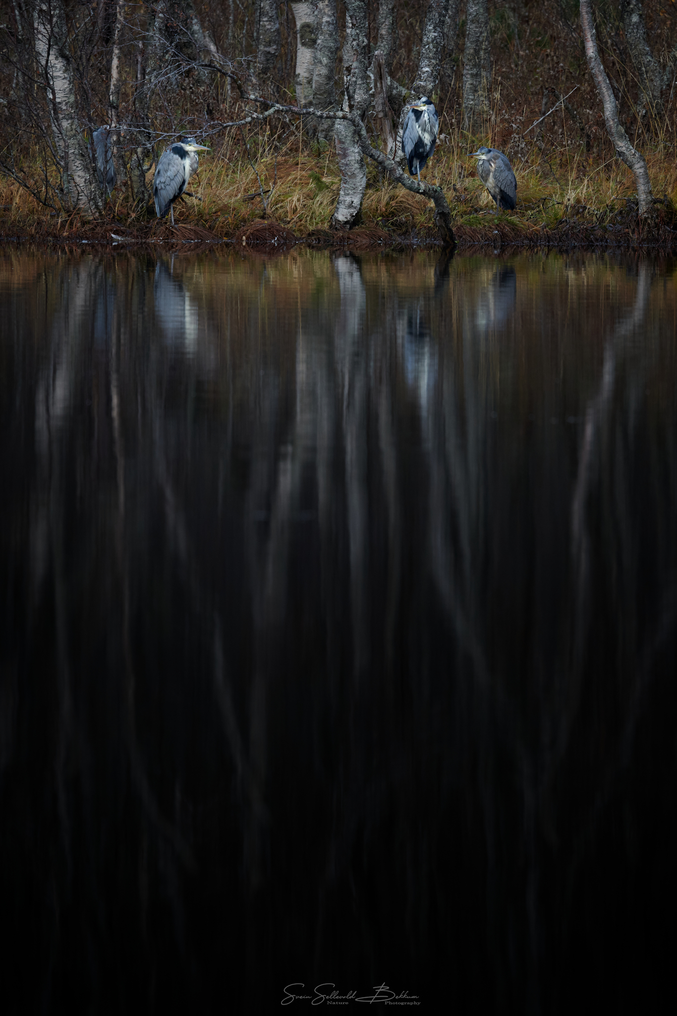 850_5237