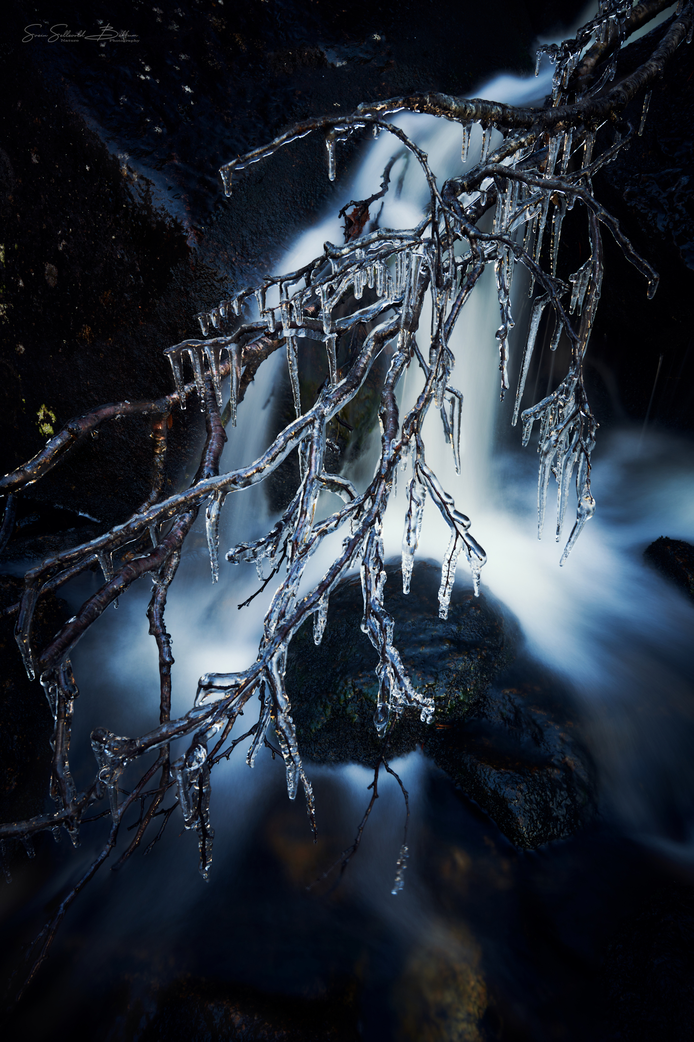 DSC_5454_2
